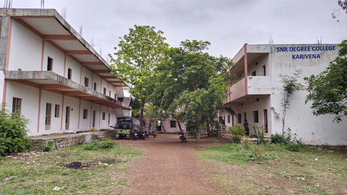 snr1